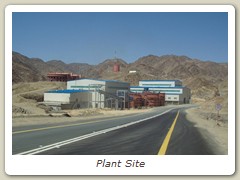 Plant Site